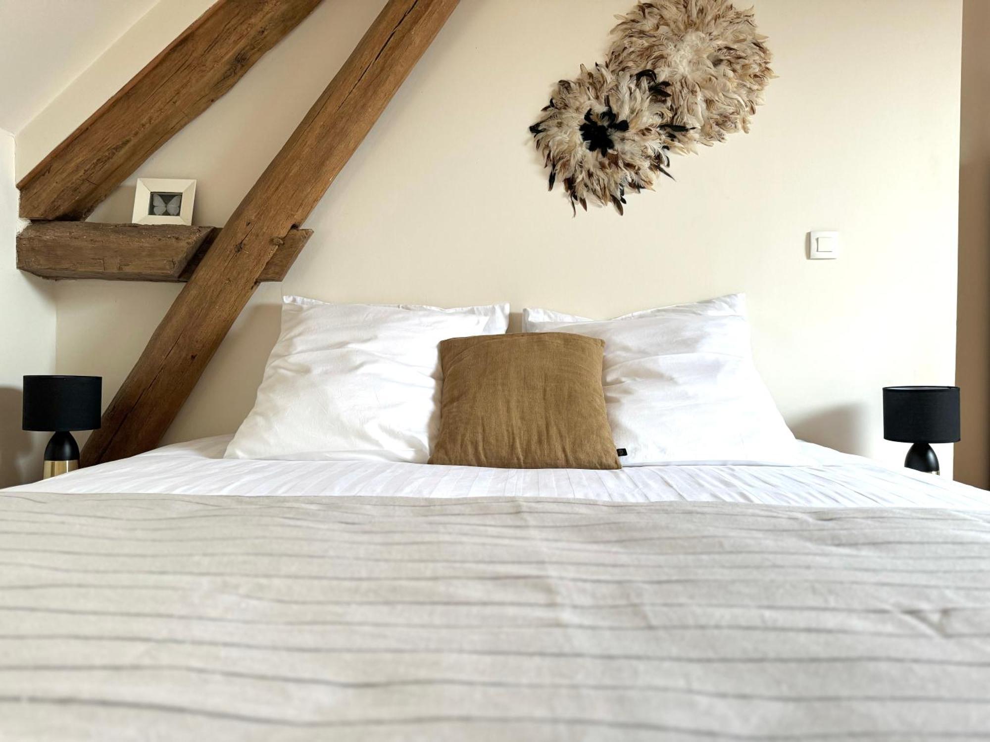 Le Moulin D Olivet Bed & Breakfast Orbigny Exterior photo