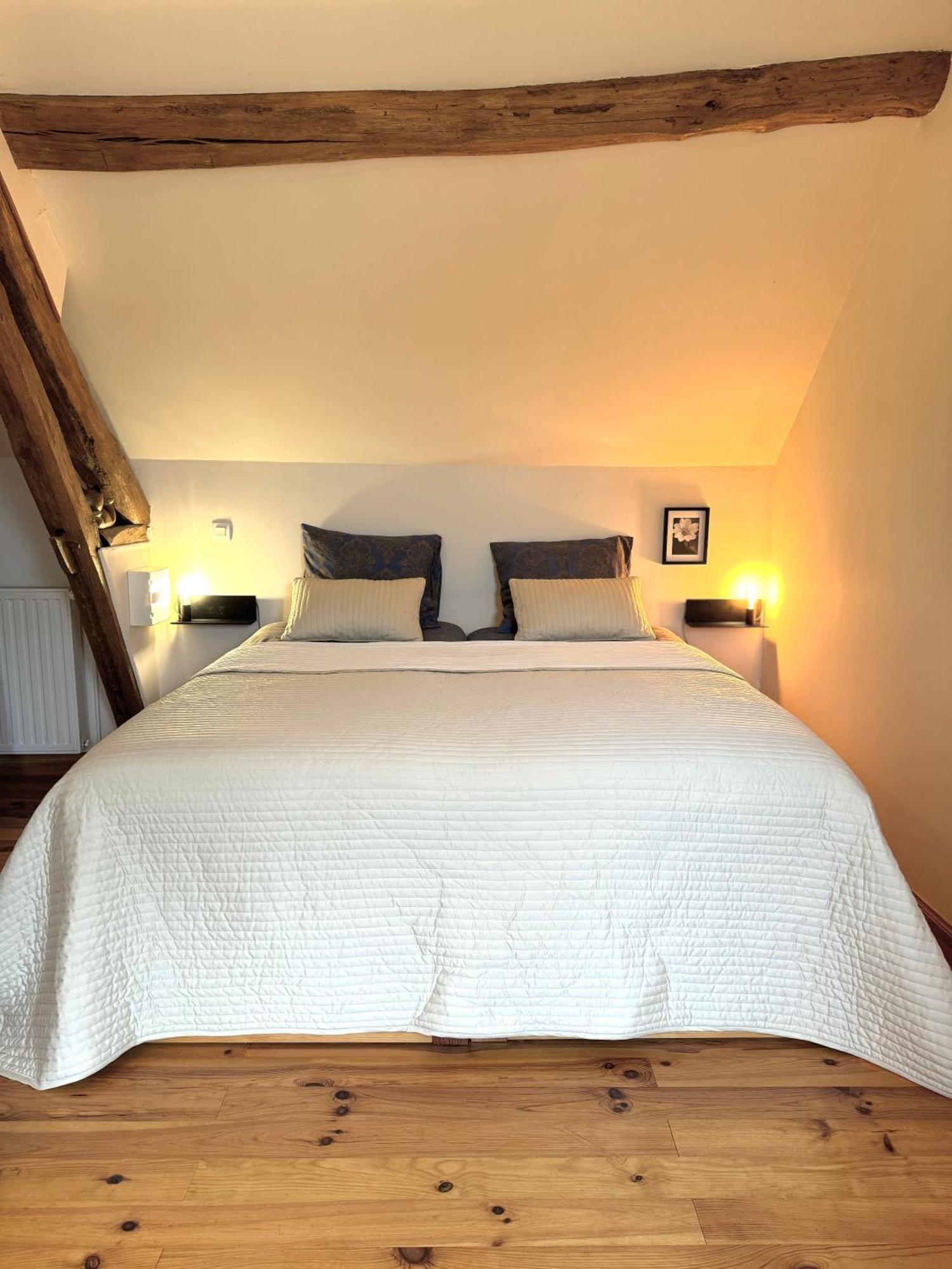 Le Moulin D Olivet Bed & Breakfast Orbigny Exterior photo